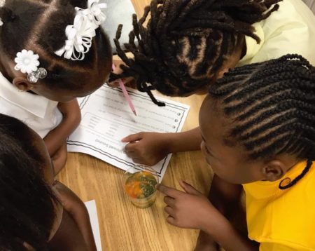 Class Notes: Back-to-School Highlights from Hollis Innovation Academy