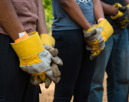 Westside Volunteer Corps – March Day of Service: A Spring Spruce-up for Seniors!