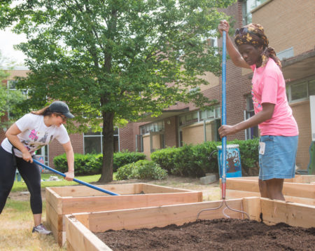 Volunteer: July Day of Service – Gardening with Grape Roots & Raising Expectations