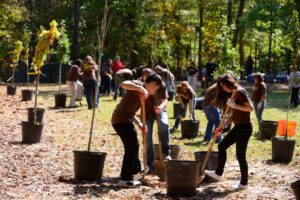 Roots on the Westside: Trees Atlanta