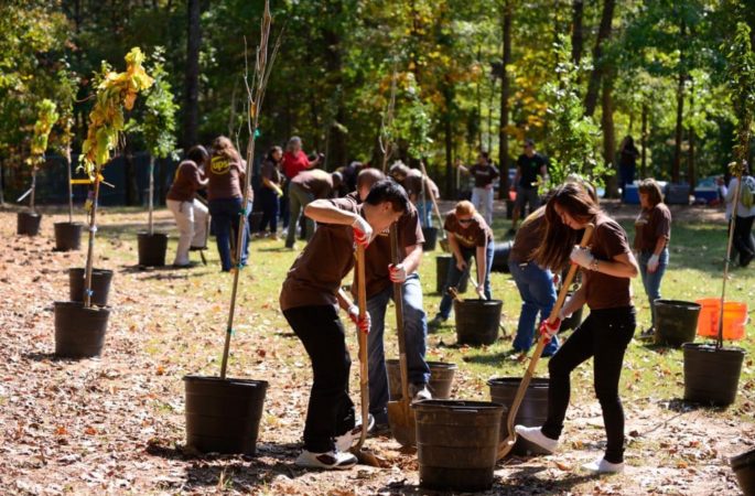 Roots on the Westside: Trees Atlanta